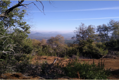 Captura de pantalla 2026-02-24 a la(s) 7.45.59 p.m.